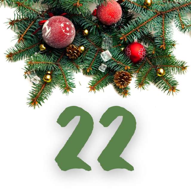 Ein grüner Weihnachtsbaum mit der Nummer 22 darauf.